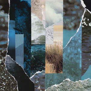 CREMATION LILY "Dreams Drenched In Static"