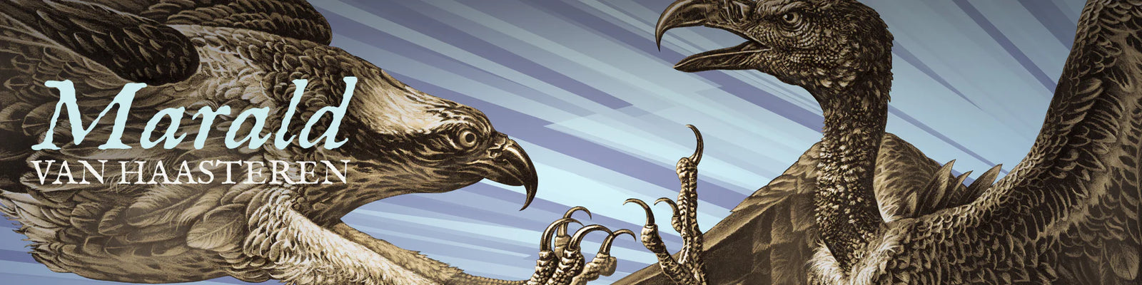 Marald Van Haasteren