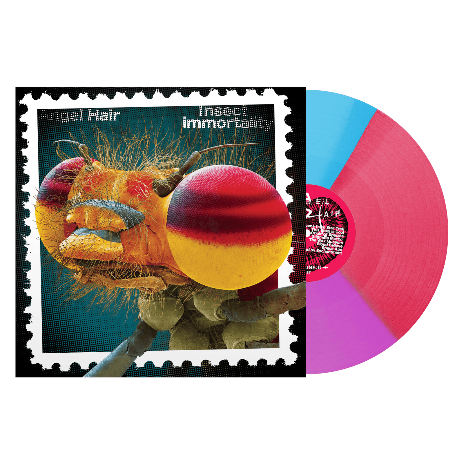 Angel Hair "Insect Immortality"