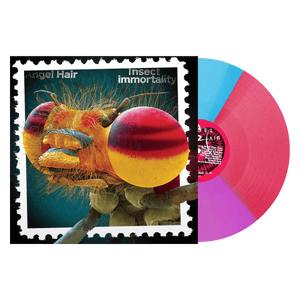 Angel Hair "Insect Immortality"