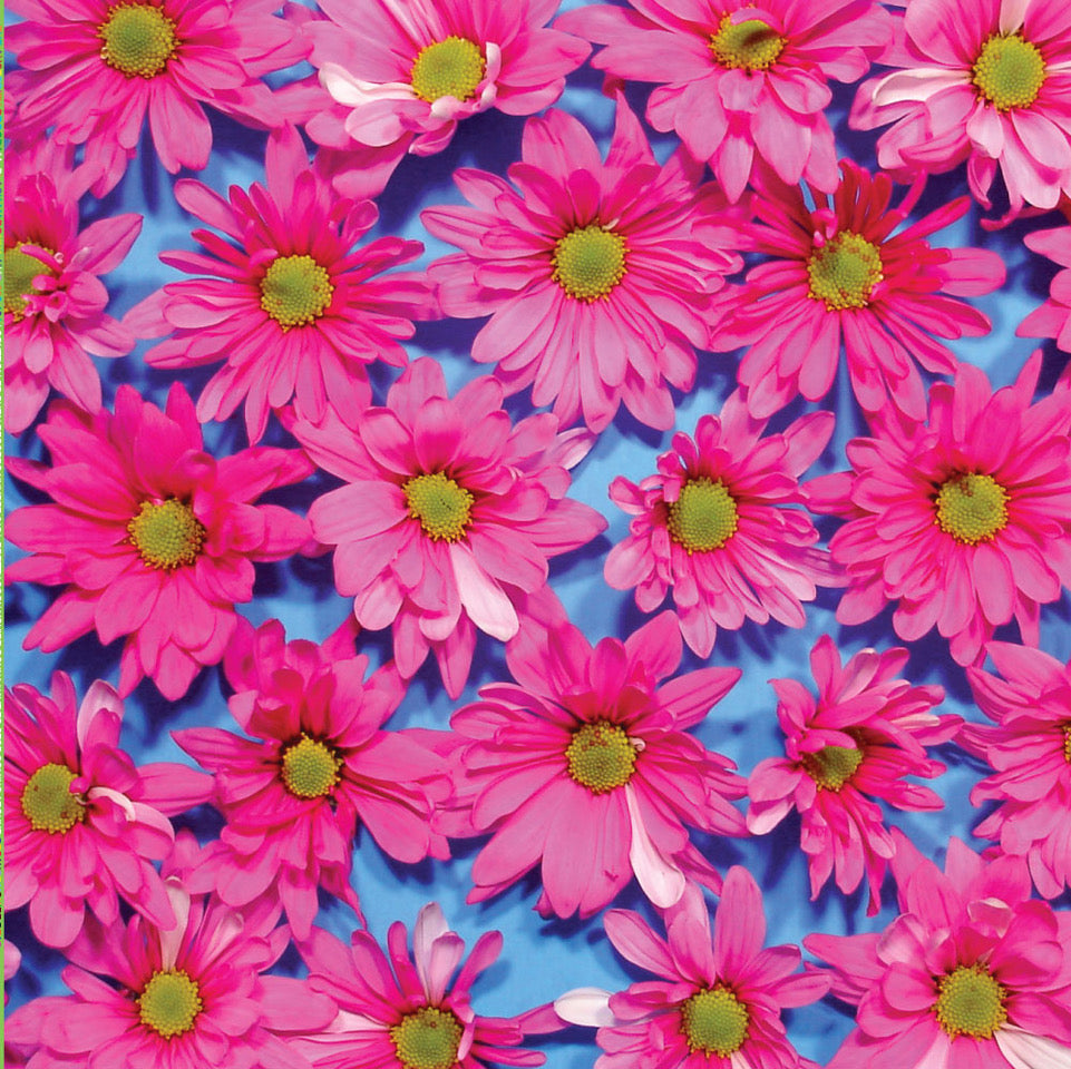 THE AUSTERITY PROGRAM &quot;Black Madonna&quot;