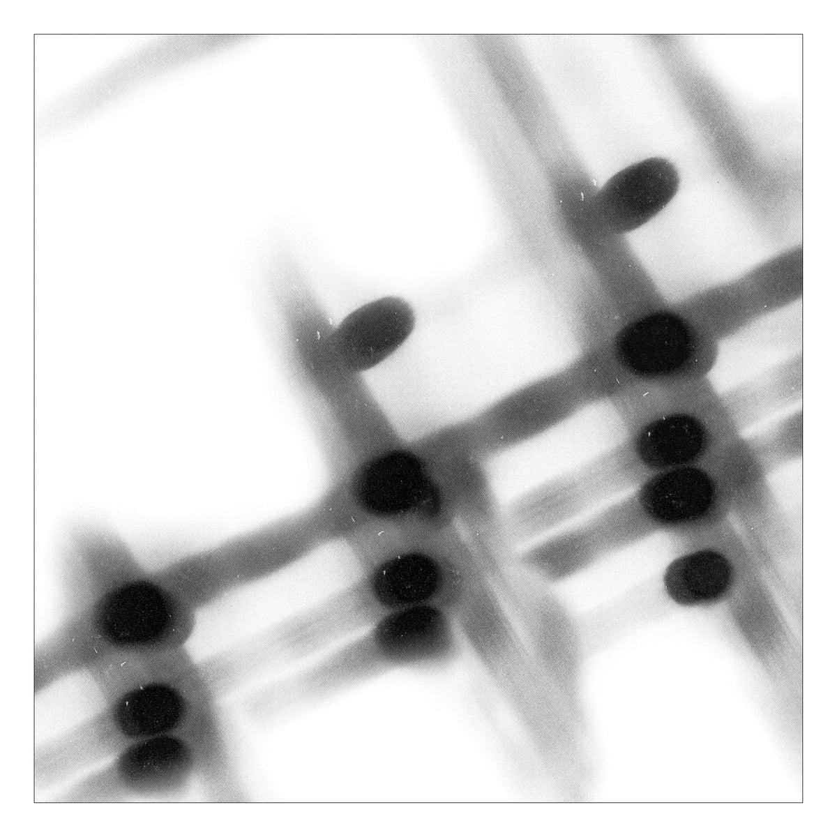 Gregor Samsa &quot;40:13.5&quot;