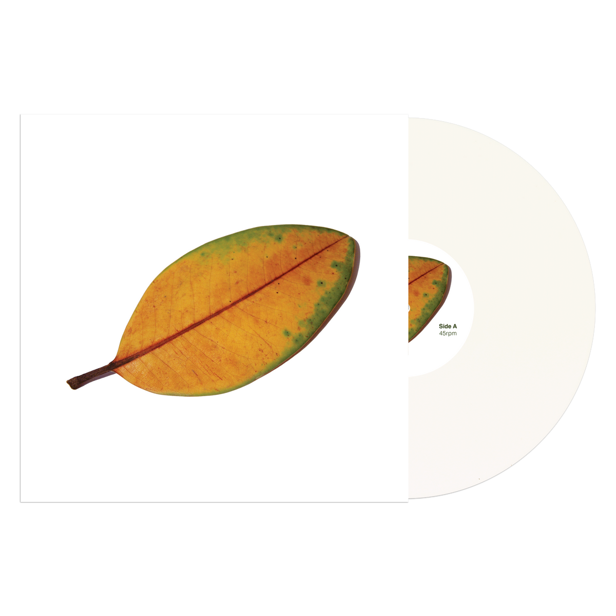 La Quiete &quot;La Fine Non è La Fine&quot;