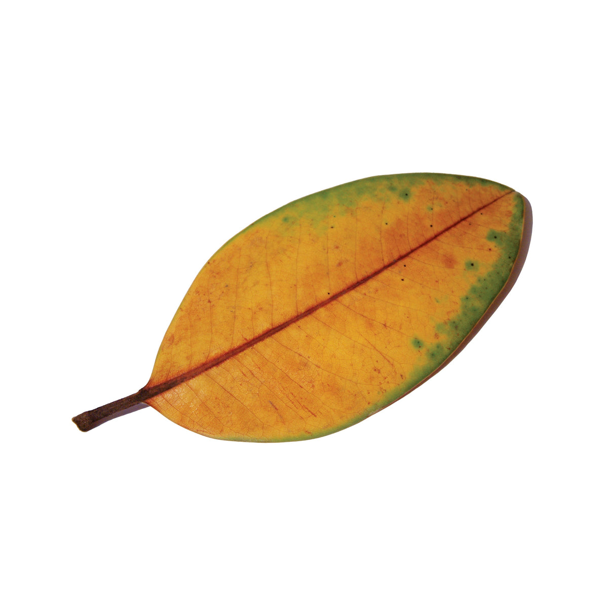 La Quiete &quot;La Fine Non è La Fine&quot;