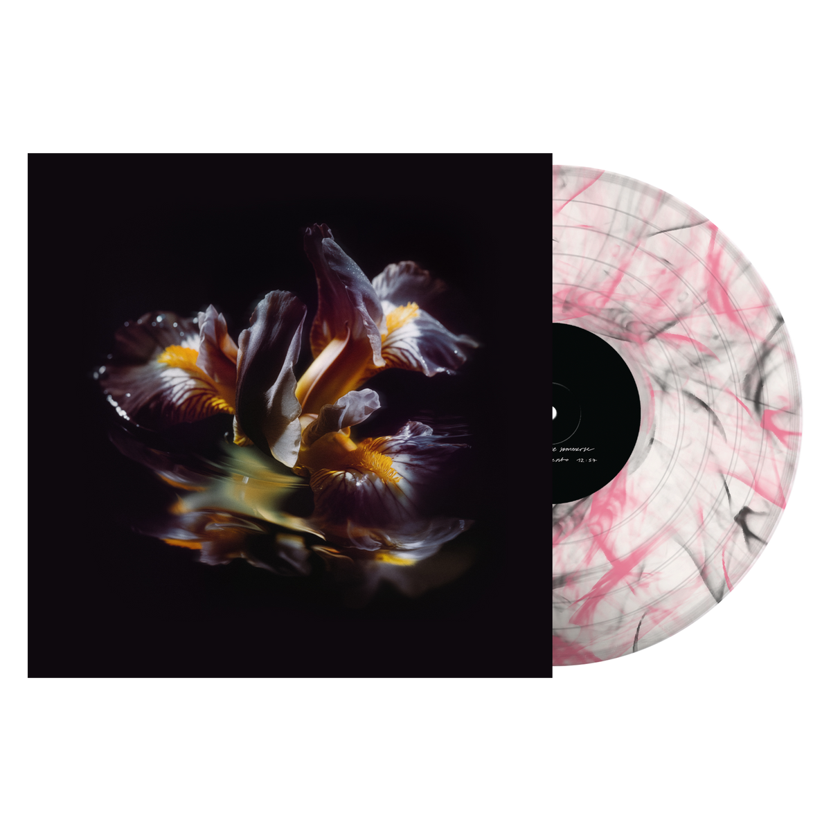 Raein &quot;Forme Sommerse&quot;