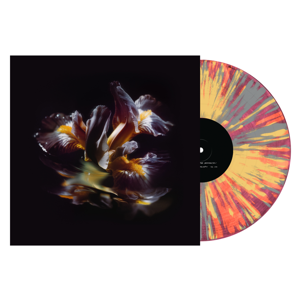 Raein &quot;Forme Sommerse&quot;