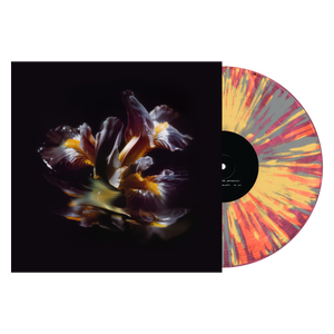 Raein "Forme Sommerse"