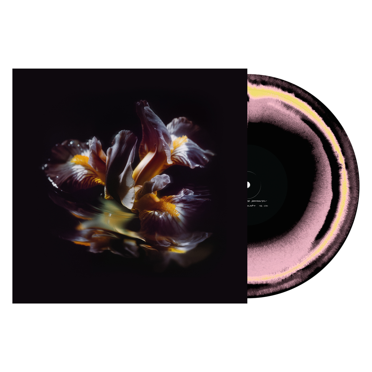 Raein &quot;Forme Sommerse&quot;