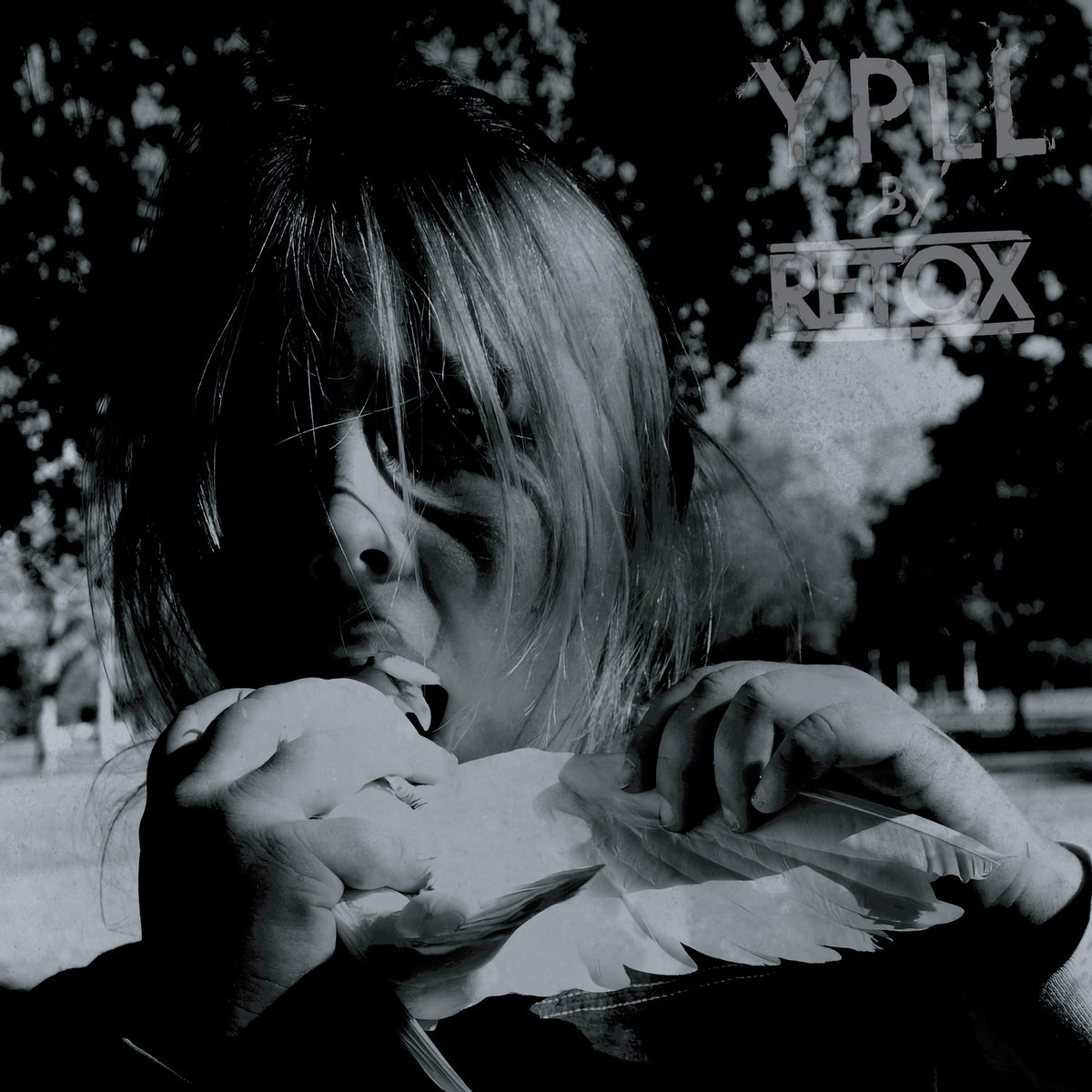 RETOX &quot;YPLL&quot;