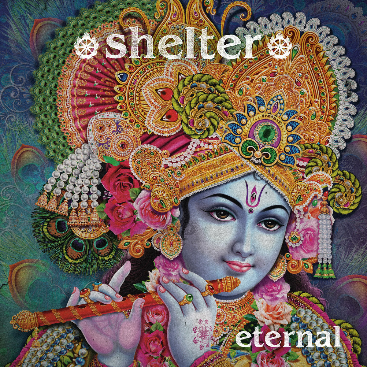 Shelter &quot;Eternal&quot;