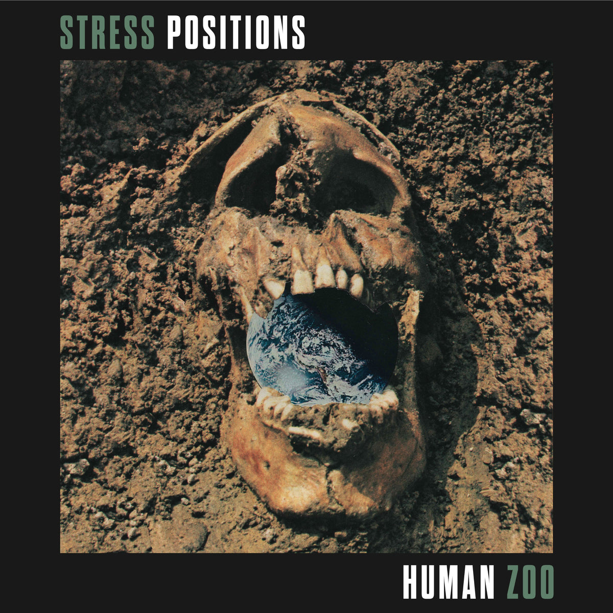 Stress Positions &quot;Human Zoo&quot;