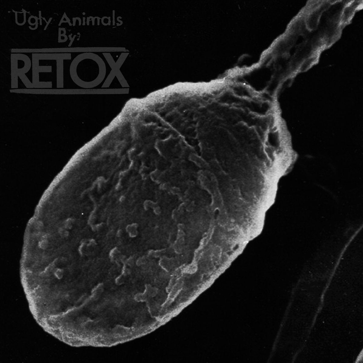 RETOX &quot;Ugly Animals&quot;