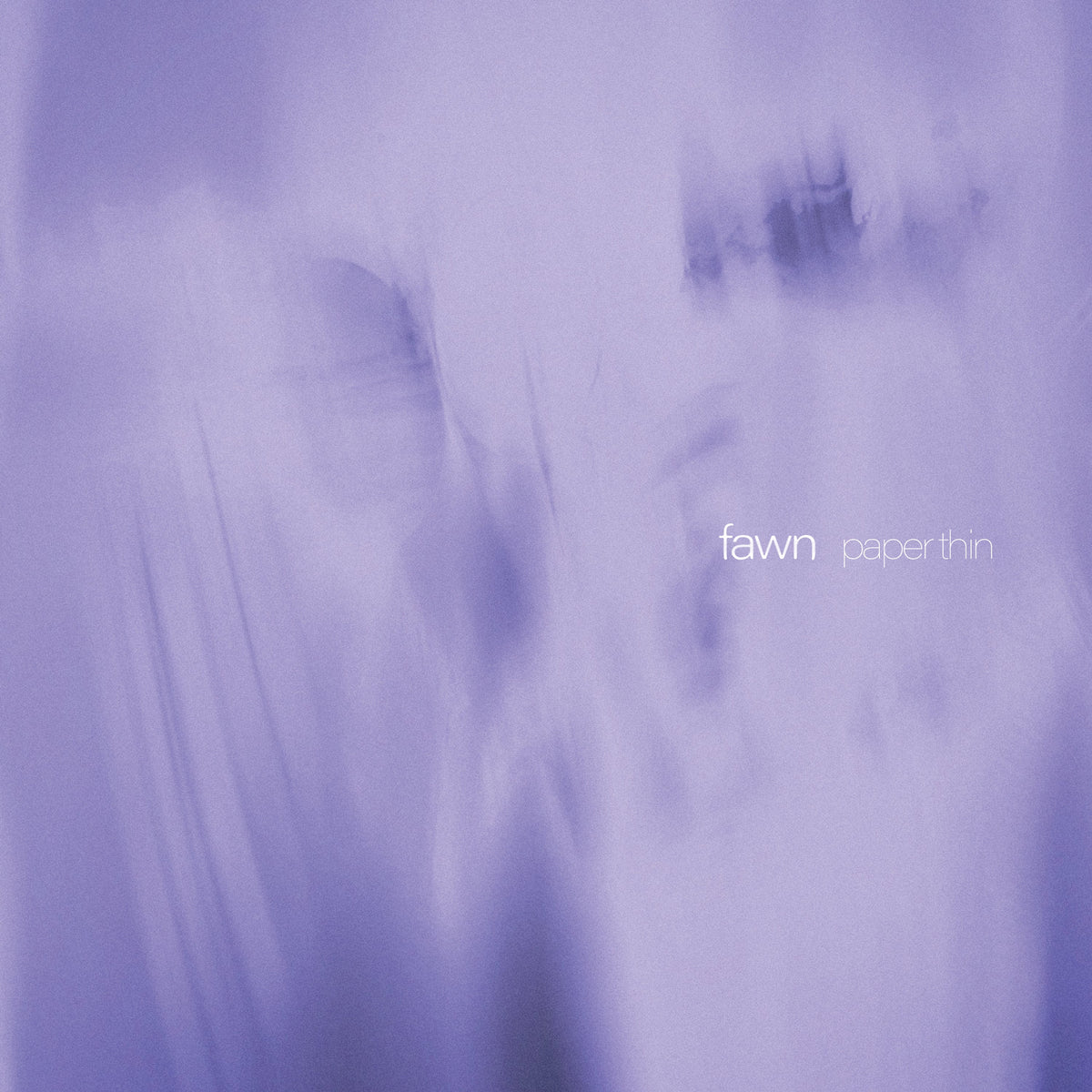 fawn &quot;Paper Thin&quot;