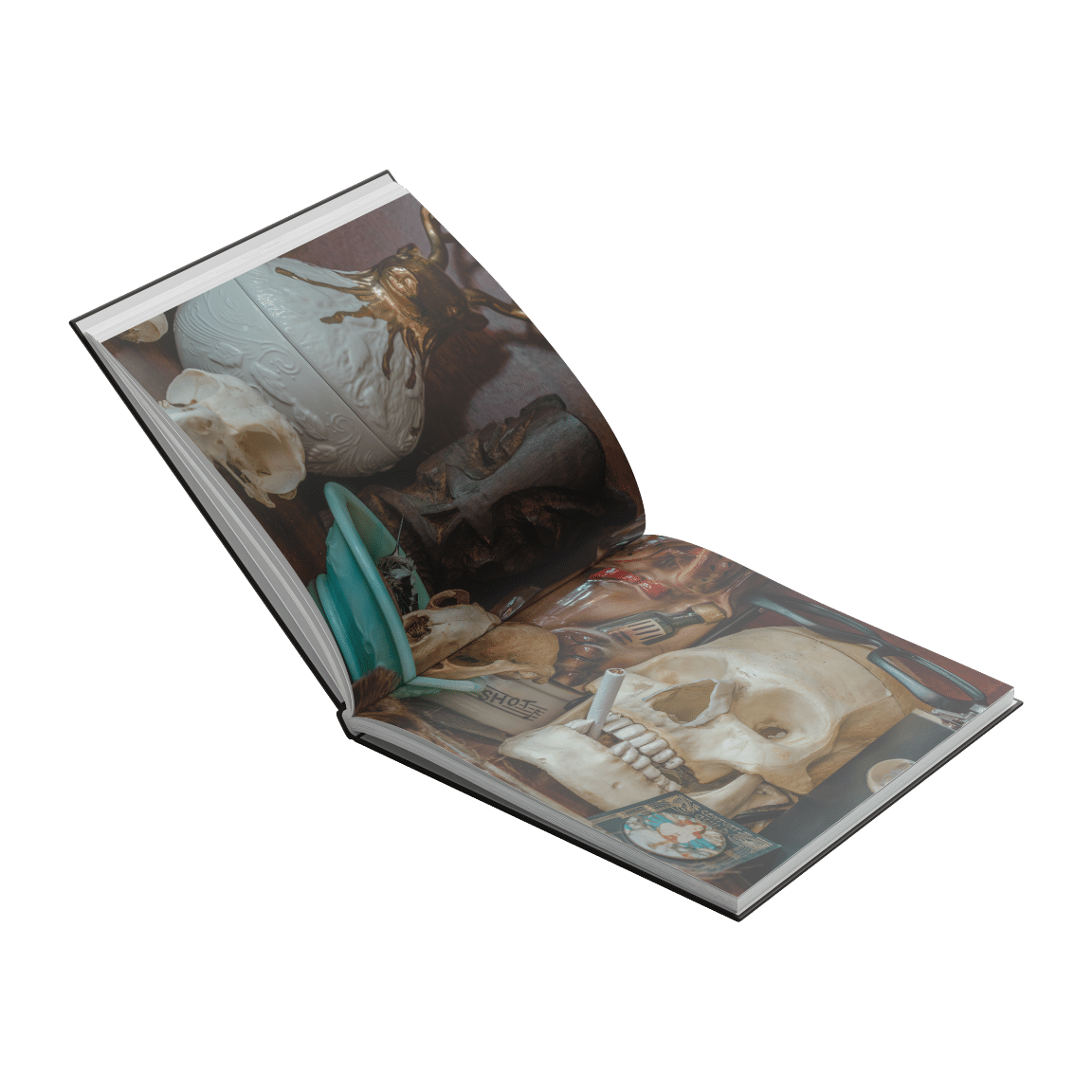 Planes Mistaken For Stars &quot;Do You Still Love Me?&quot;