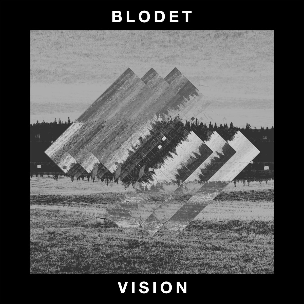BLODET &quot;Vision&quot;