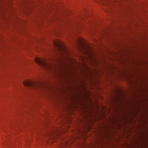 BASTIONS "Majestic Desolation"