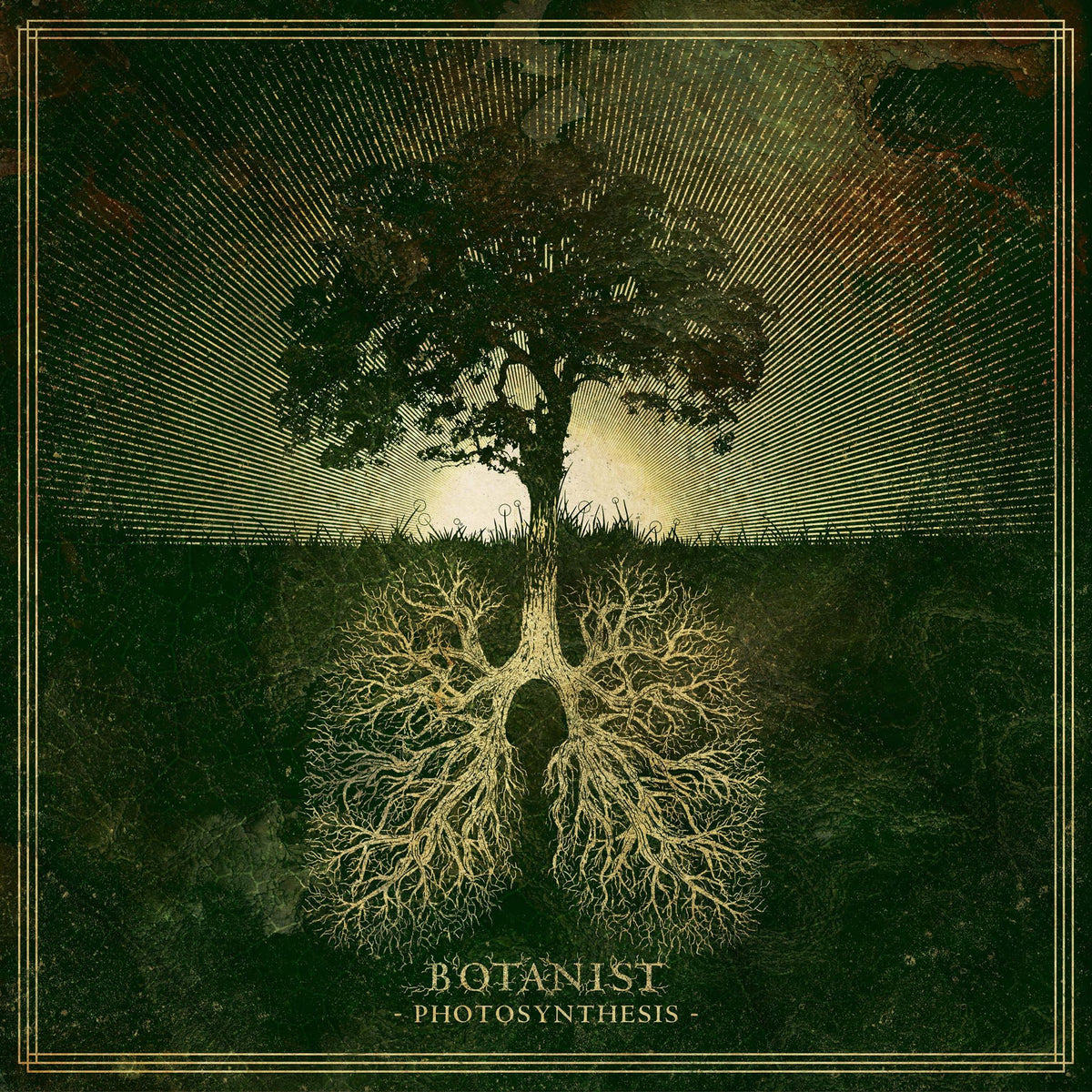 BOTANIST &quot;Photosynthesis&quot;