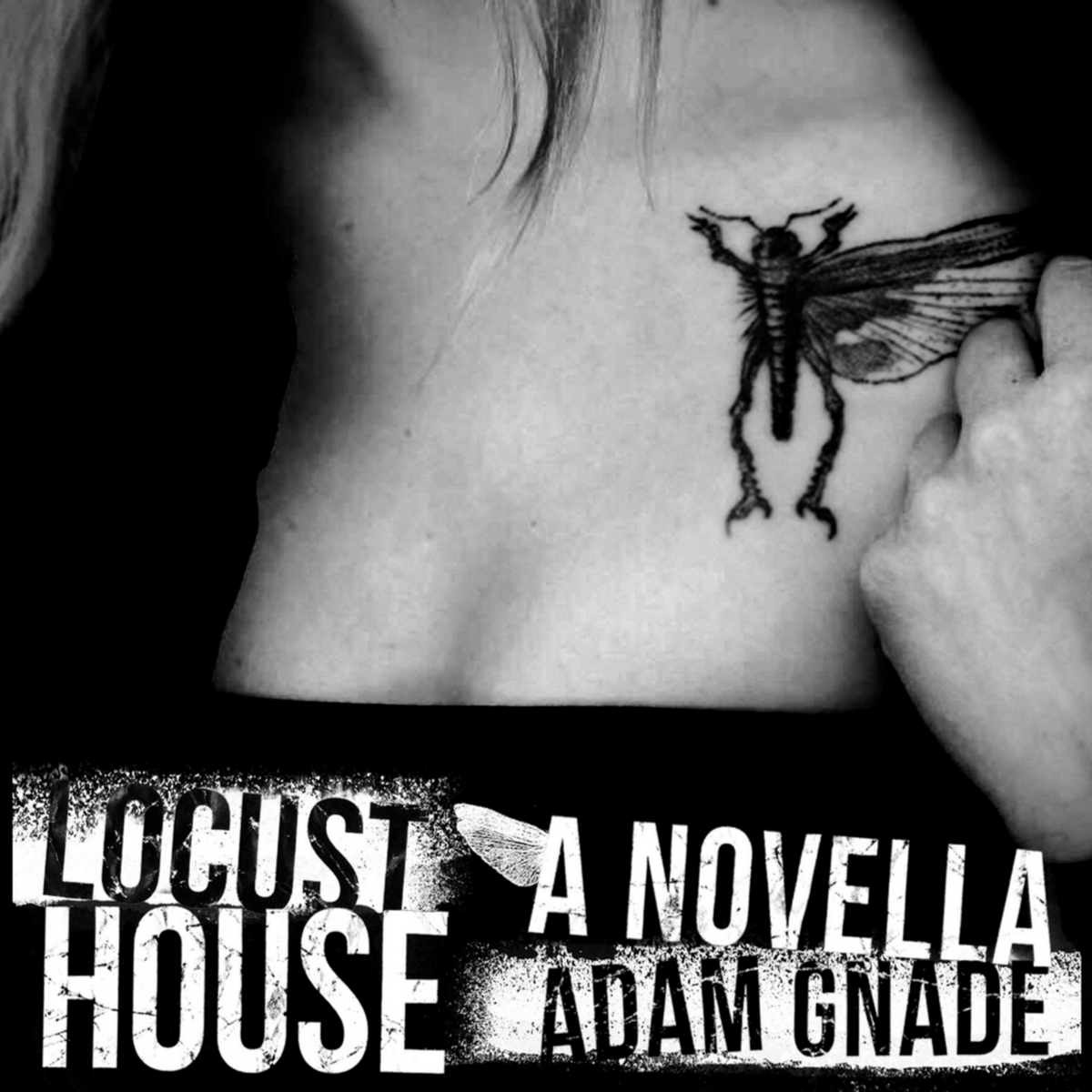 ADAM GNADE &quot;Locust House&quot;