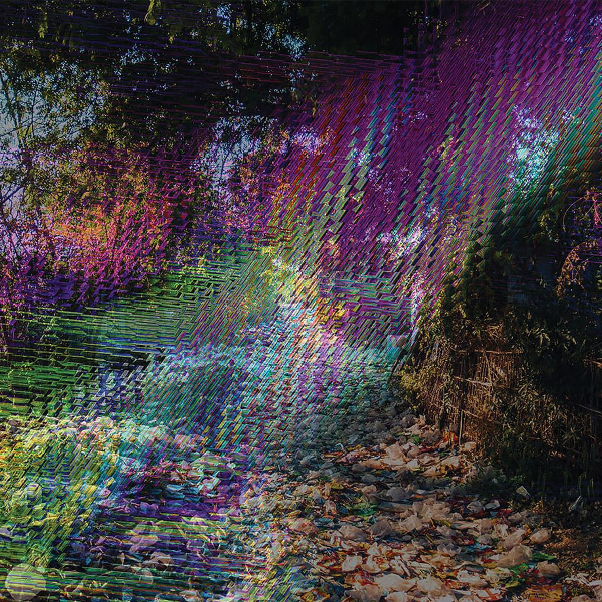 NETHERLANDS &quot;Kali Corvette&quot;