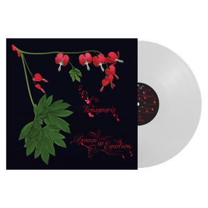 VENAMORIS "Venamoris"