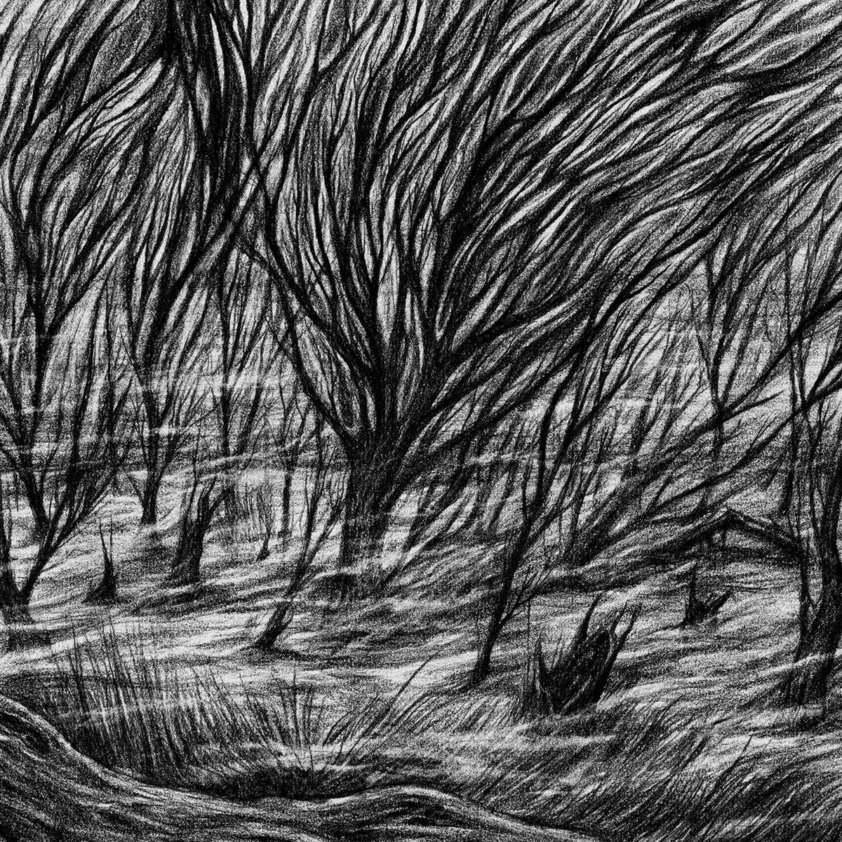 BISMUTH &quot;The Eternal Marshes&quot;