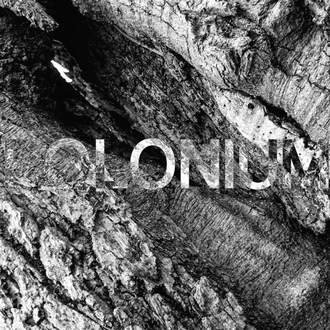 POLONIUM &quot;Seraphim&quot;