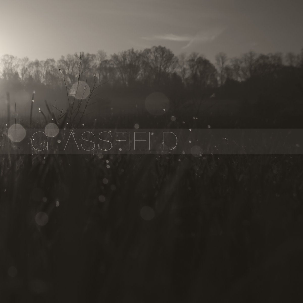 GLASSFIELD &quot;Unwrought Atlas&quot;