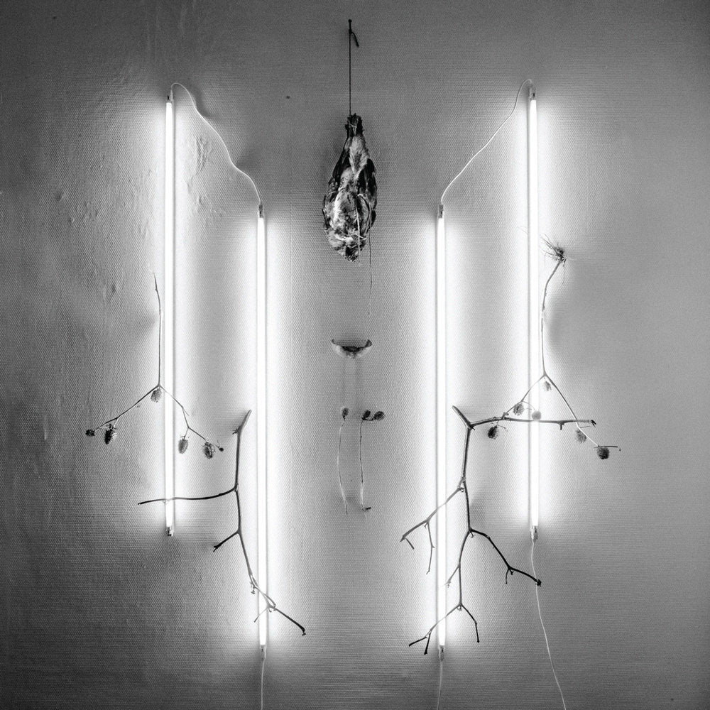 ALKERDEEL/NIHILL &quot;The Abyss Stares Back # 4&quot;