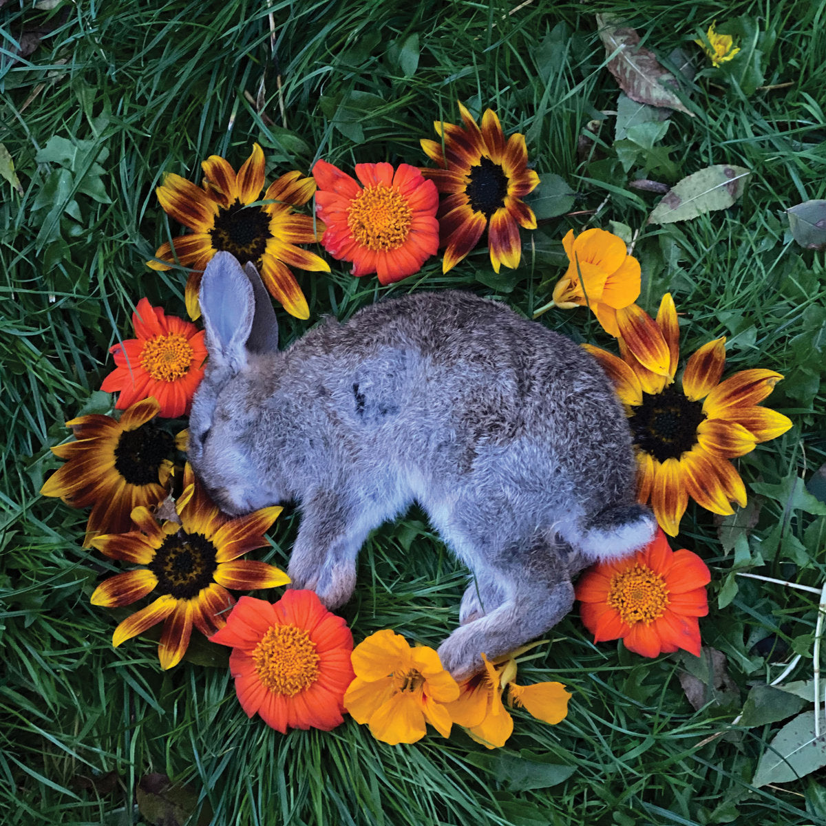 MONOLORD "Your Time To Shine"