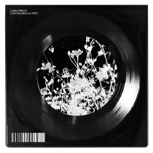 LOMA PRIETA "Continuum b/w Fate"