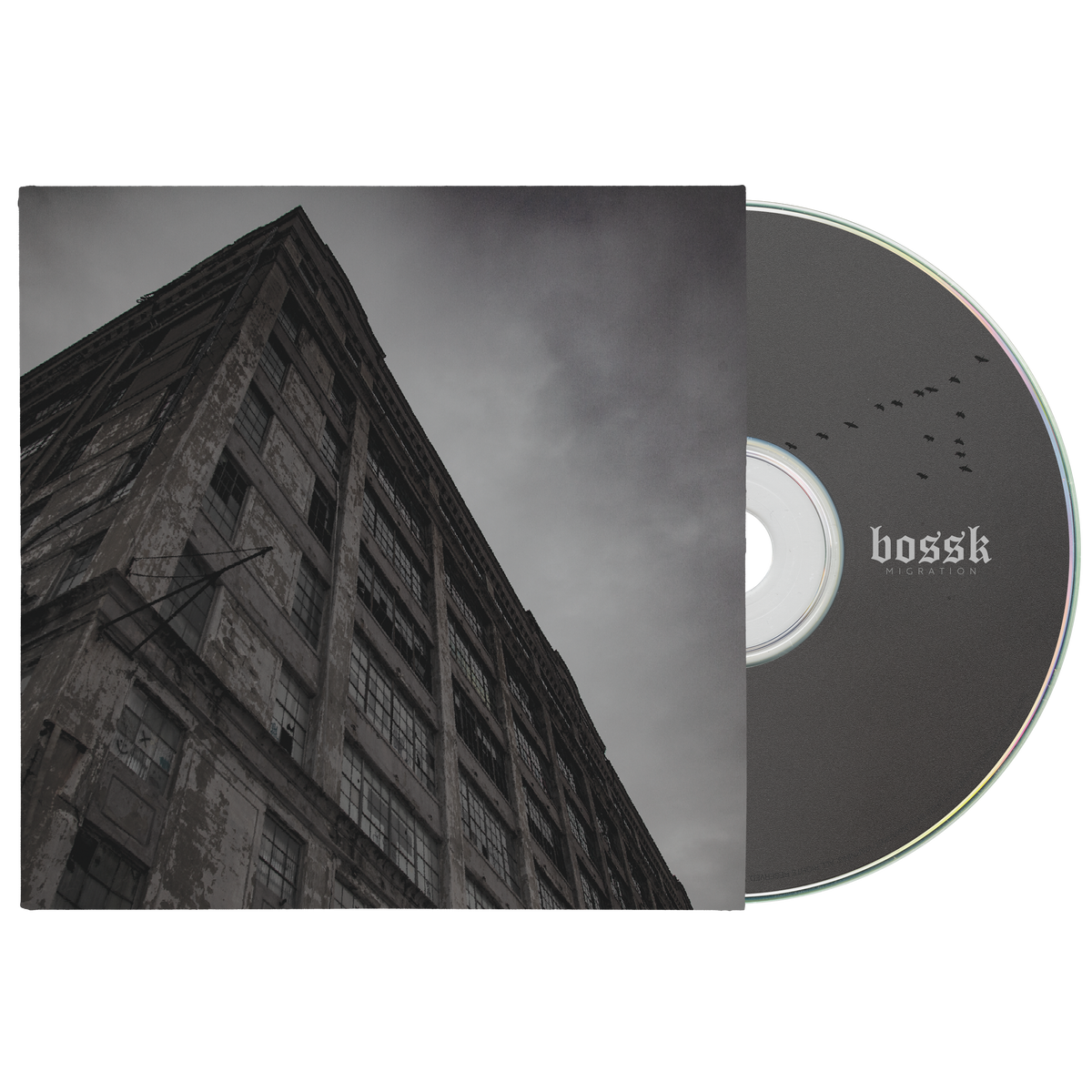 BOSSK &quot;Migration&quot;