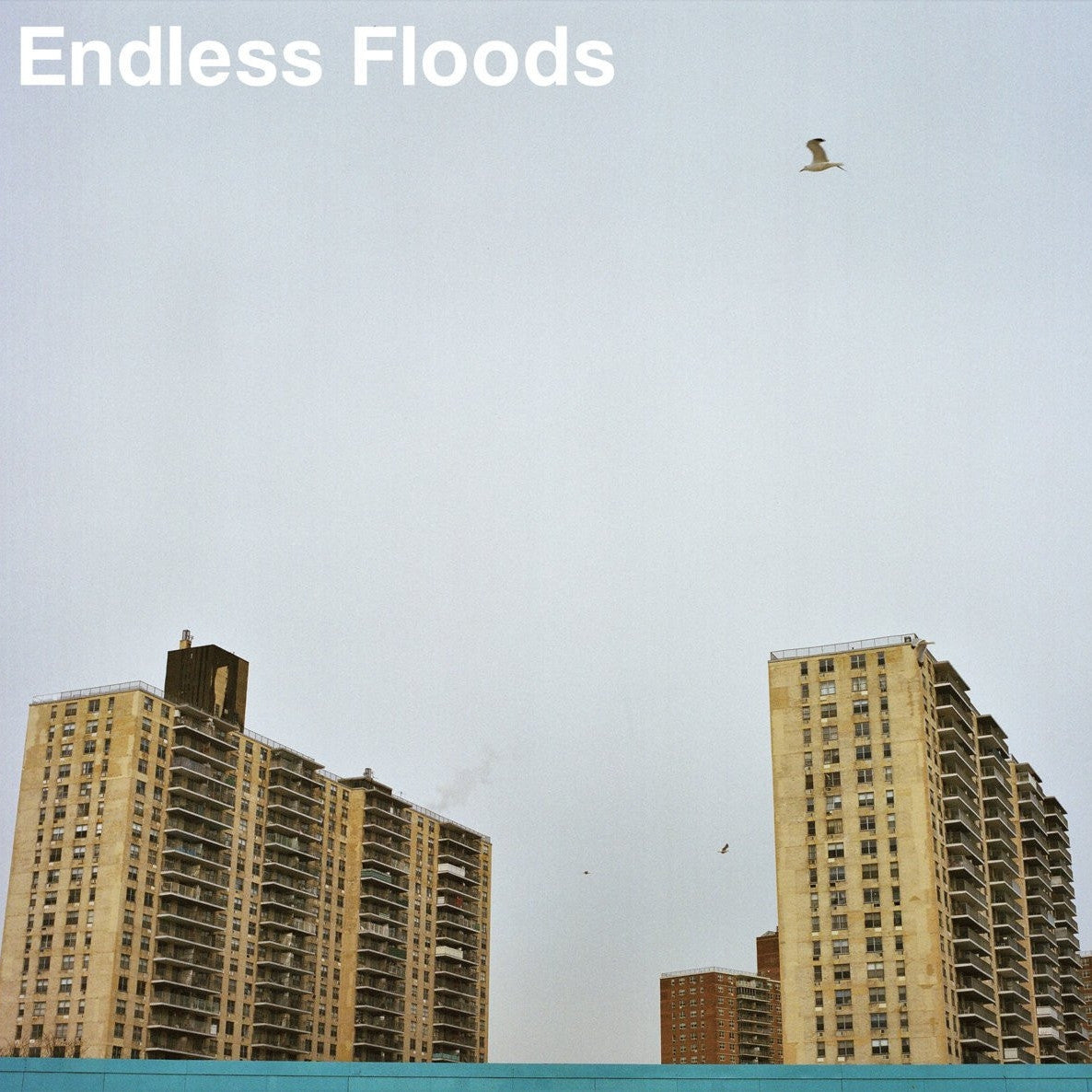 ENDLESS FLOODS &quot;II&quot;-Dry Cough Records-Deathwish Inc Europe