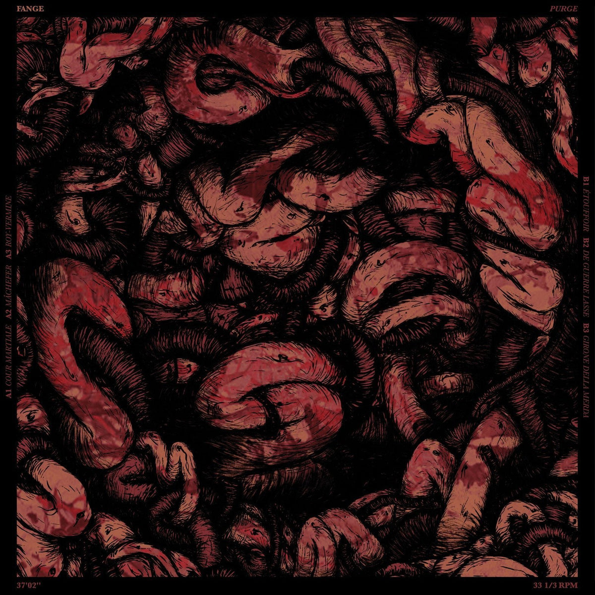 FANGE &quot;Purge&quot;-Throatruiner Records-Deathwish Inc Europe