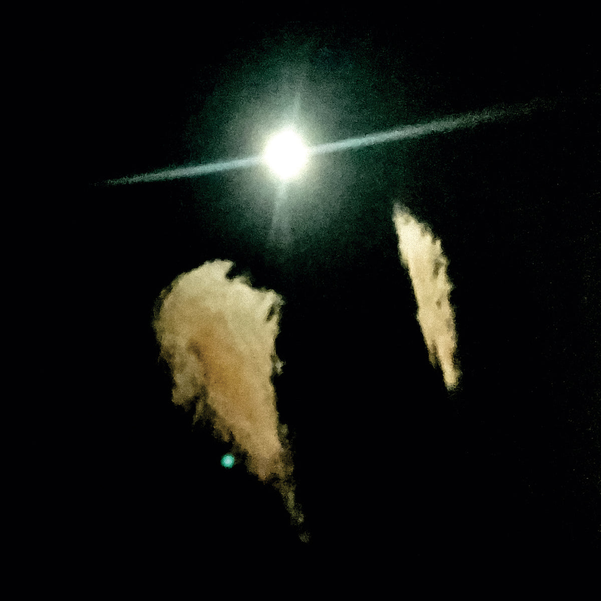 MIDWIFE &quot;Forever&quot;